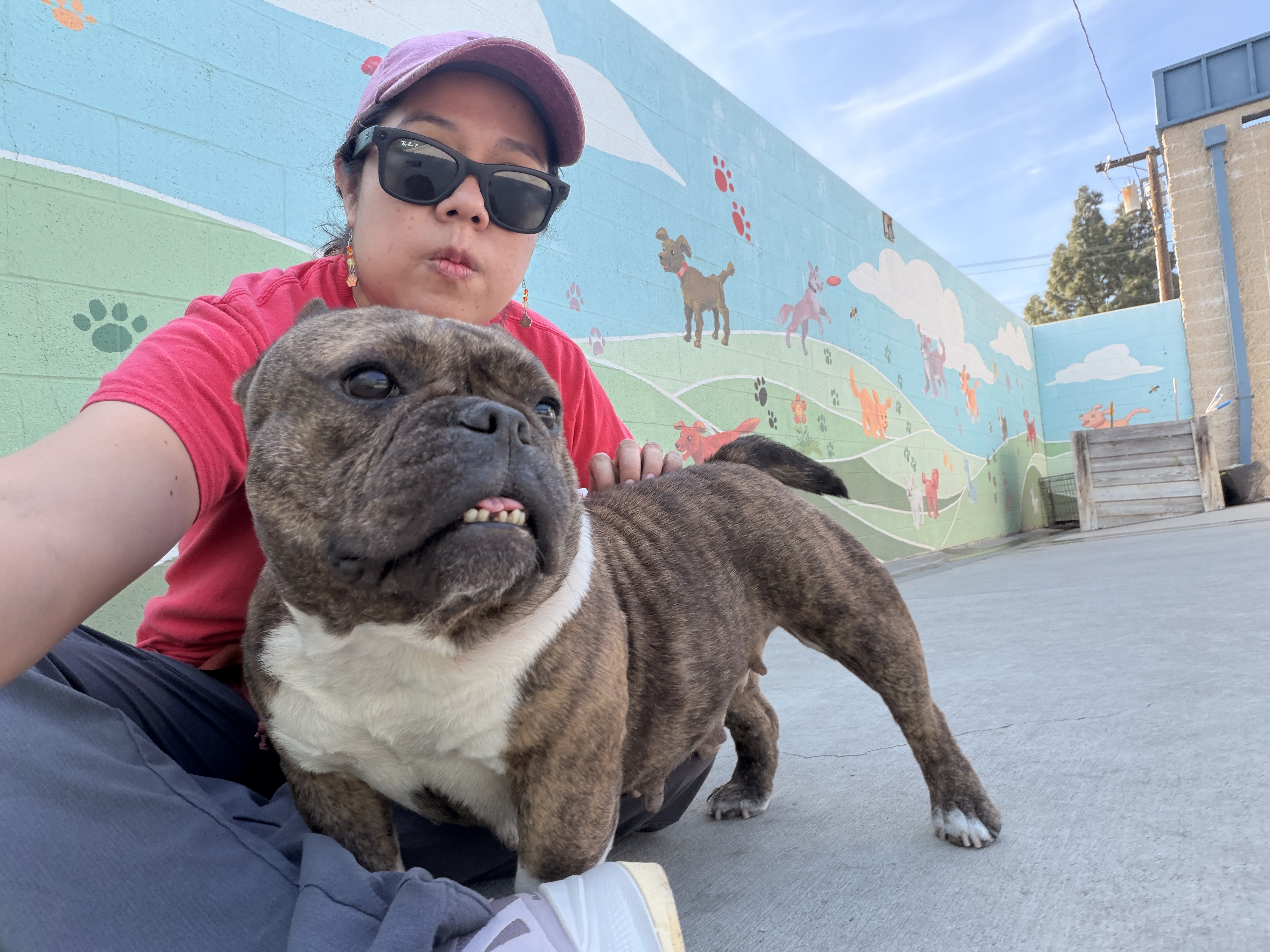 Sara volunteering at Burbank Animal Shelter